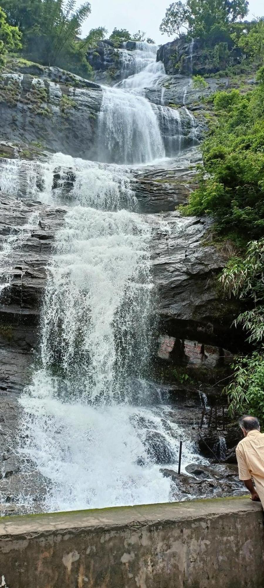 4 Acre Woods Farm Stay Munnar Zimmer foto